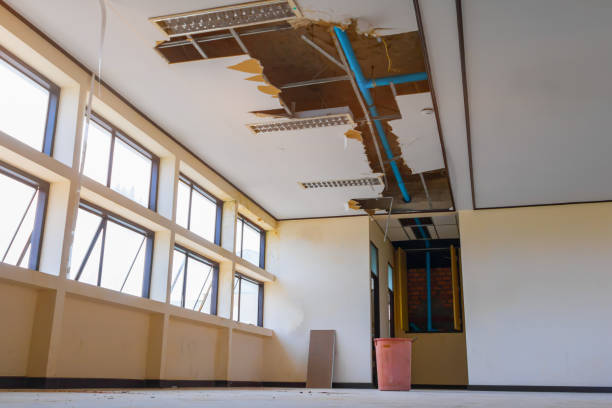 Best Ceiling water damage repair  in Covelo, CA