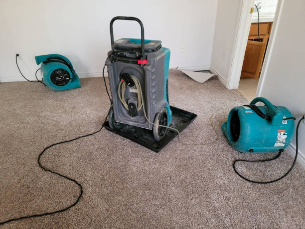 Best Mold removal after water damage  in Covelo, CA