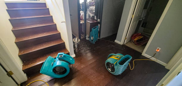 Best Basement water damage restoration  in Covelo, CA