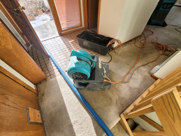 Best Water damage cleanup near me  in Covelo, CA