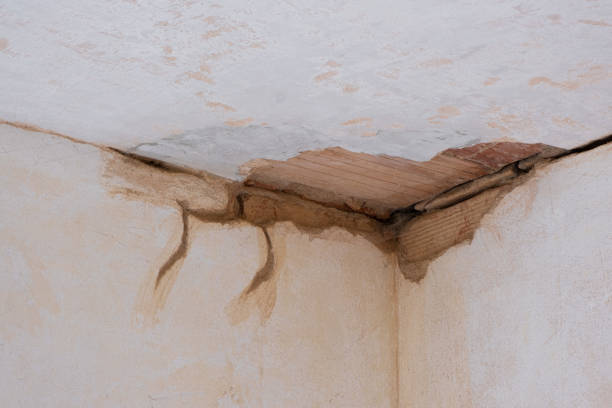 Best Carpet water damage restoration  in Covelo, CA