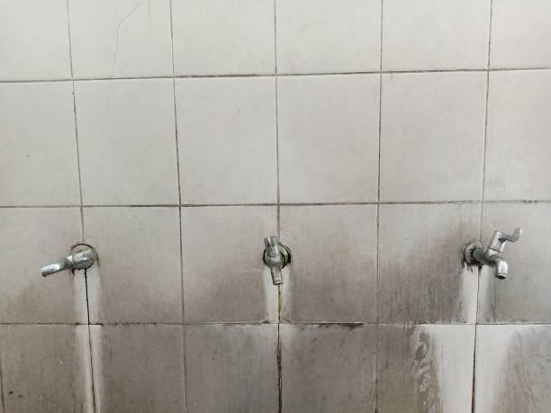 Professional Water damage restoration in Covelo, CA
