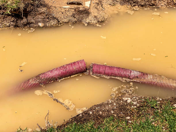 Best Water damage contractors near me  in Covelo, CA